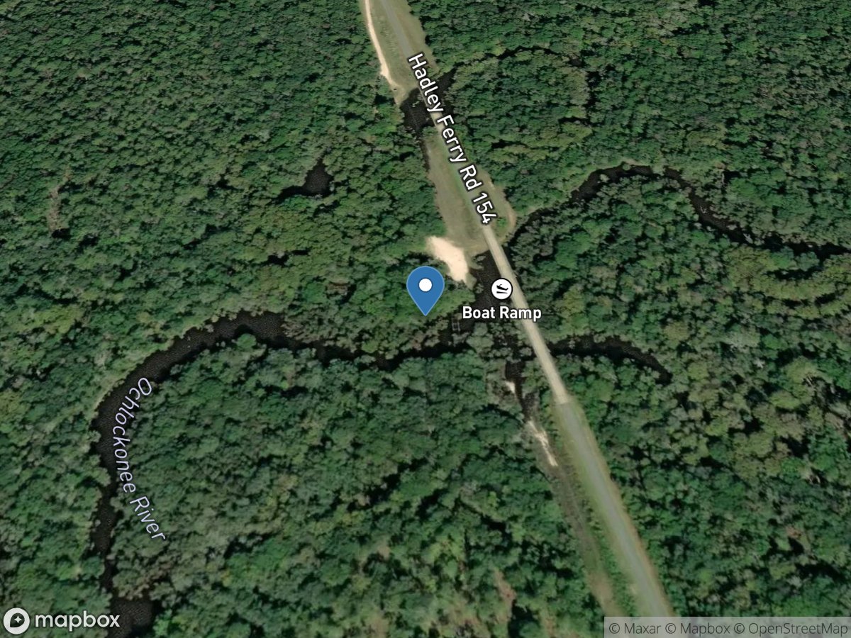 Ochlockonee River near Calvary, GA location