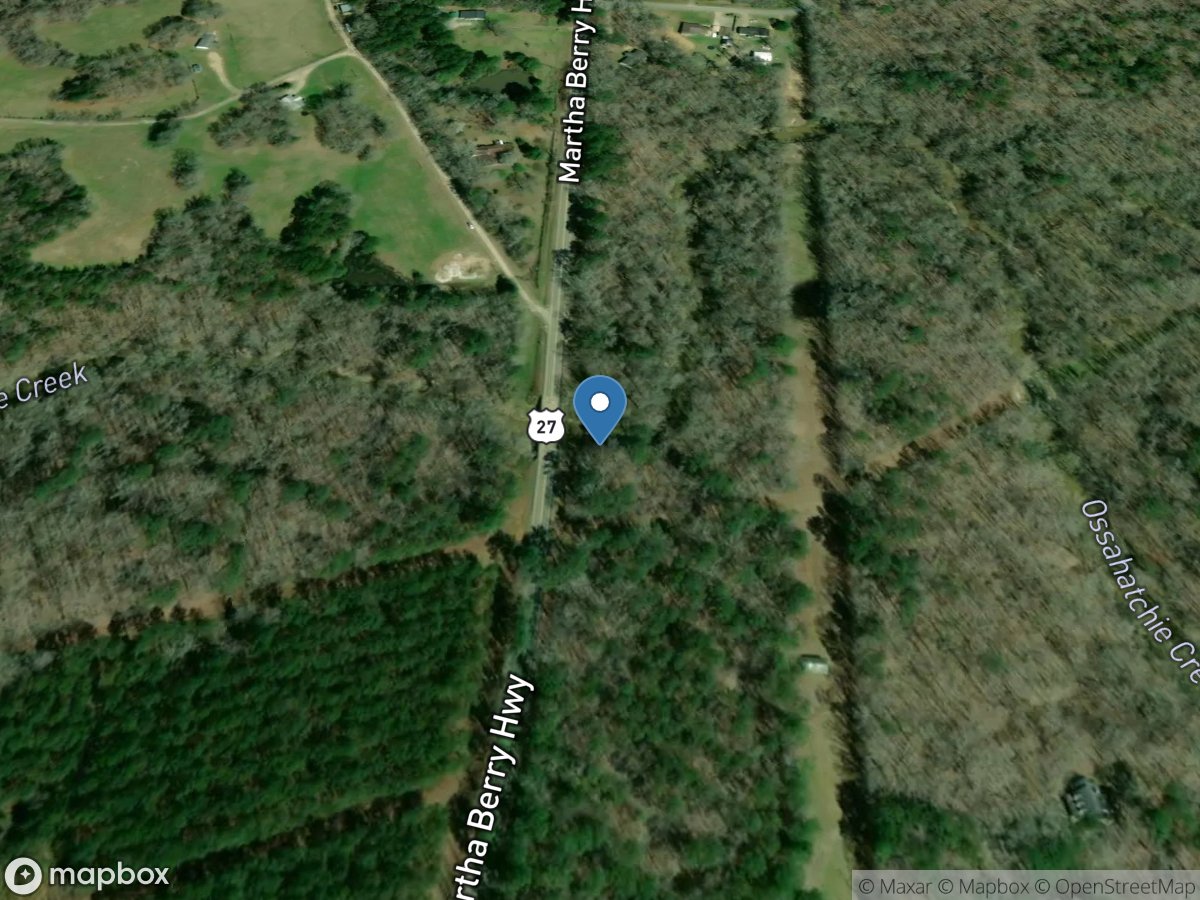 Ossahatchee Creek near Hamilton, GA location