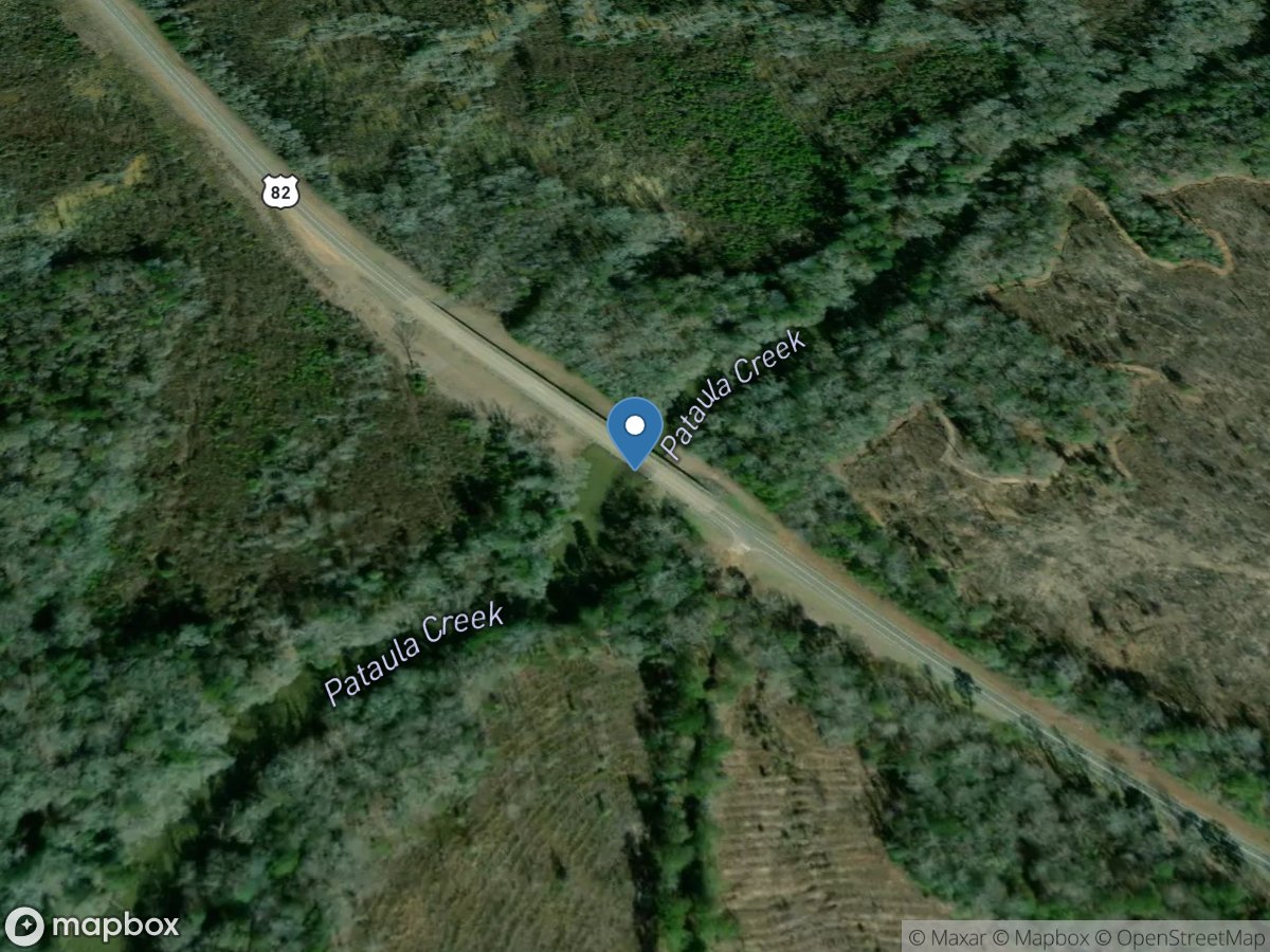 Pataula Creek near Georgetown, GA location