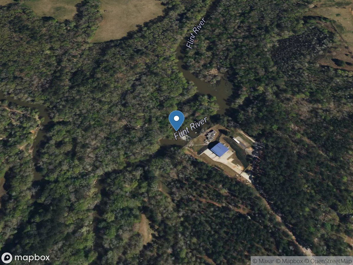 Flint River near Lowry, GA location