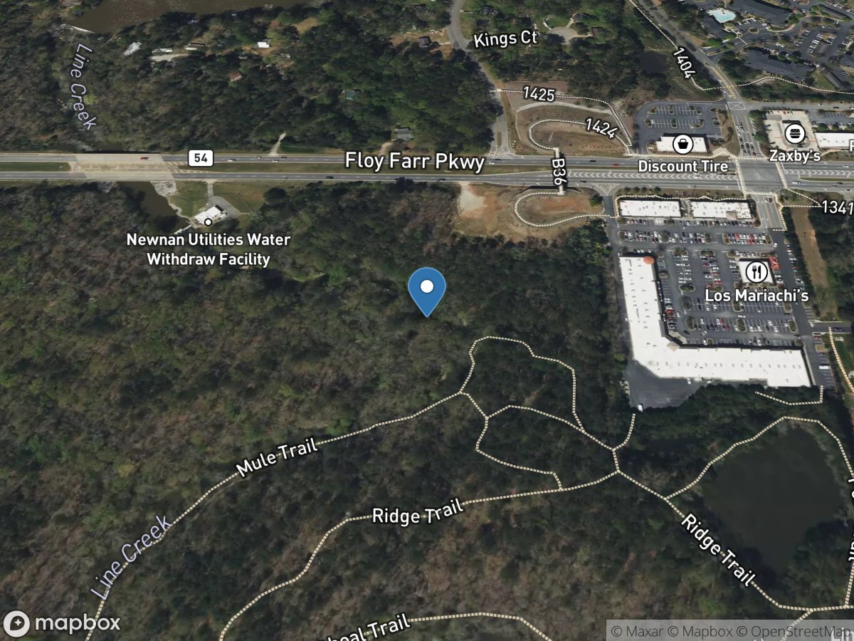 Line Creek below GA 54, near Peachtree City, GA location