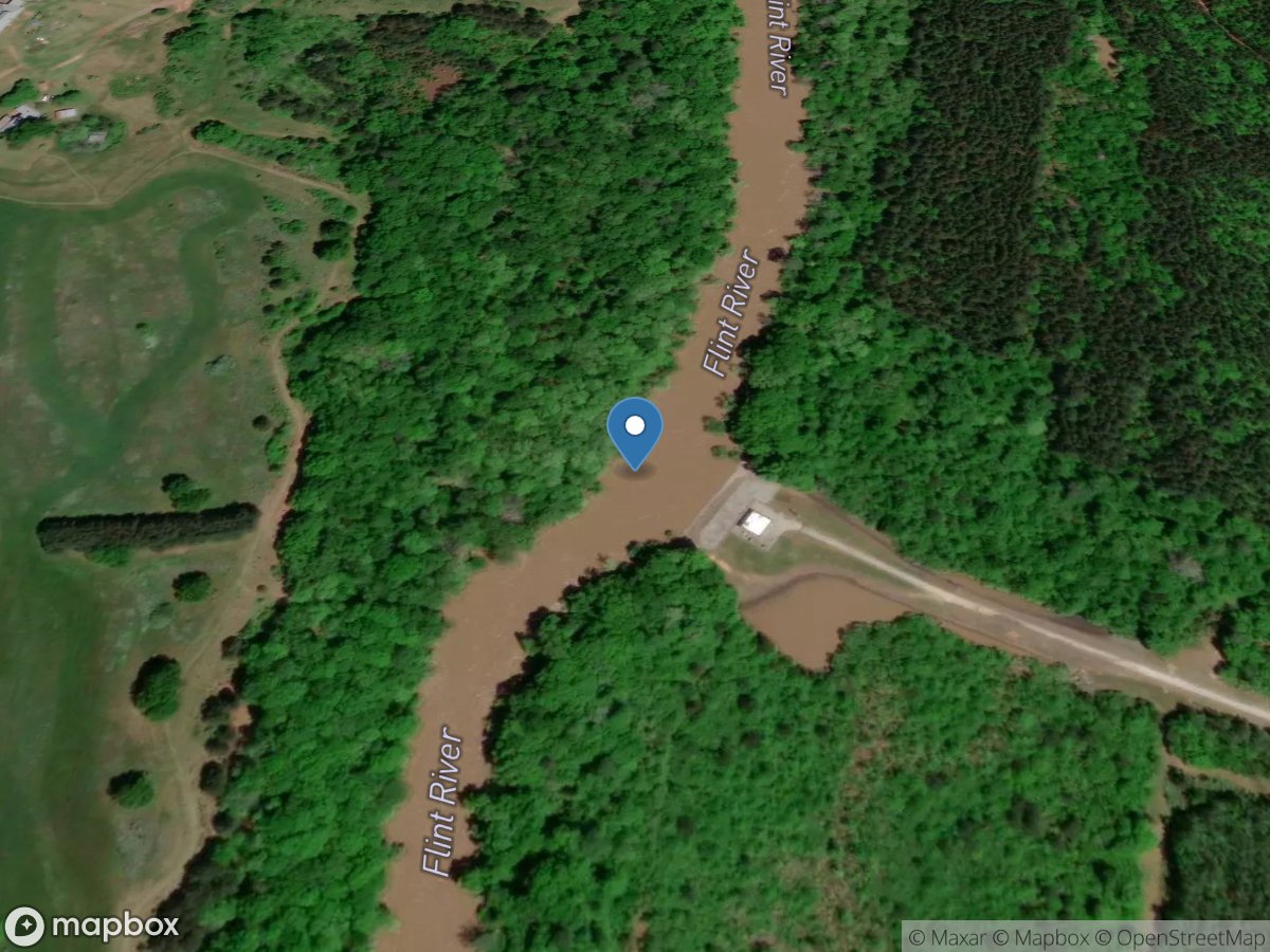 Flint River below Big Branch, near Molena, GA location