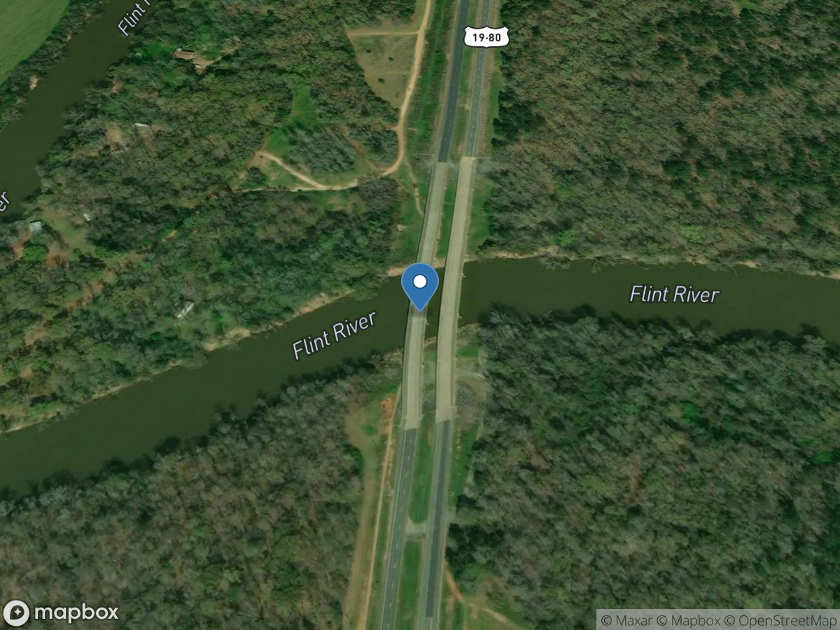 Flint River at US 19, near Carsonville, GA location