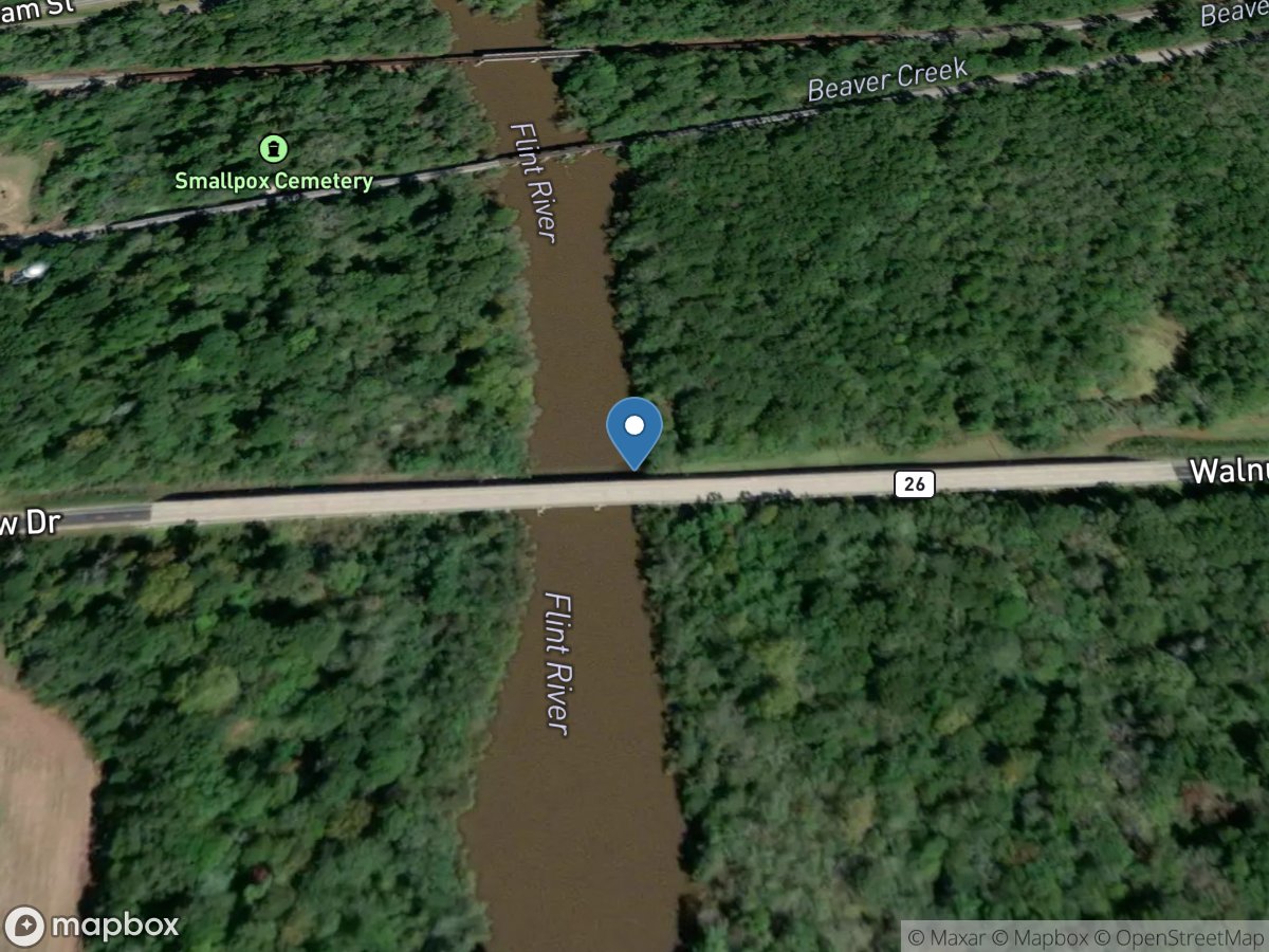 Flint River at GA 26, near Montezuma, GA location