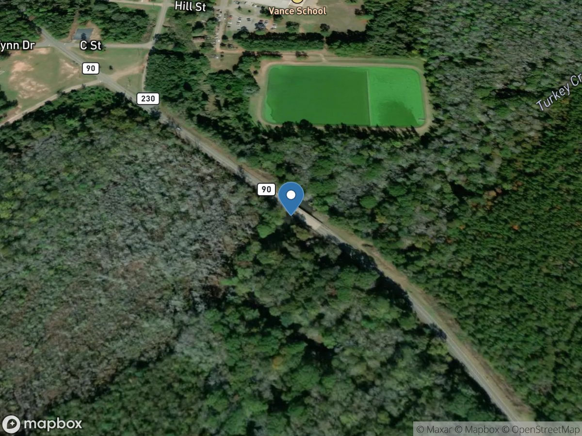 Turkey Creek at Byromville, GA location