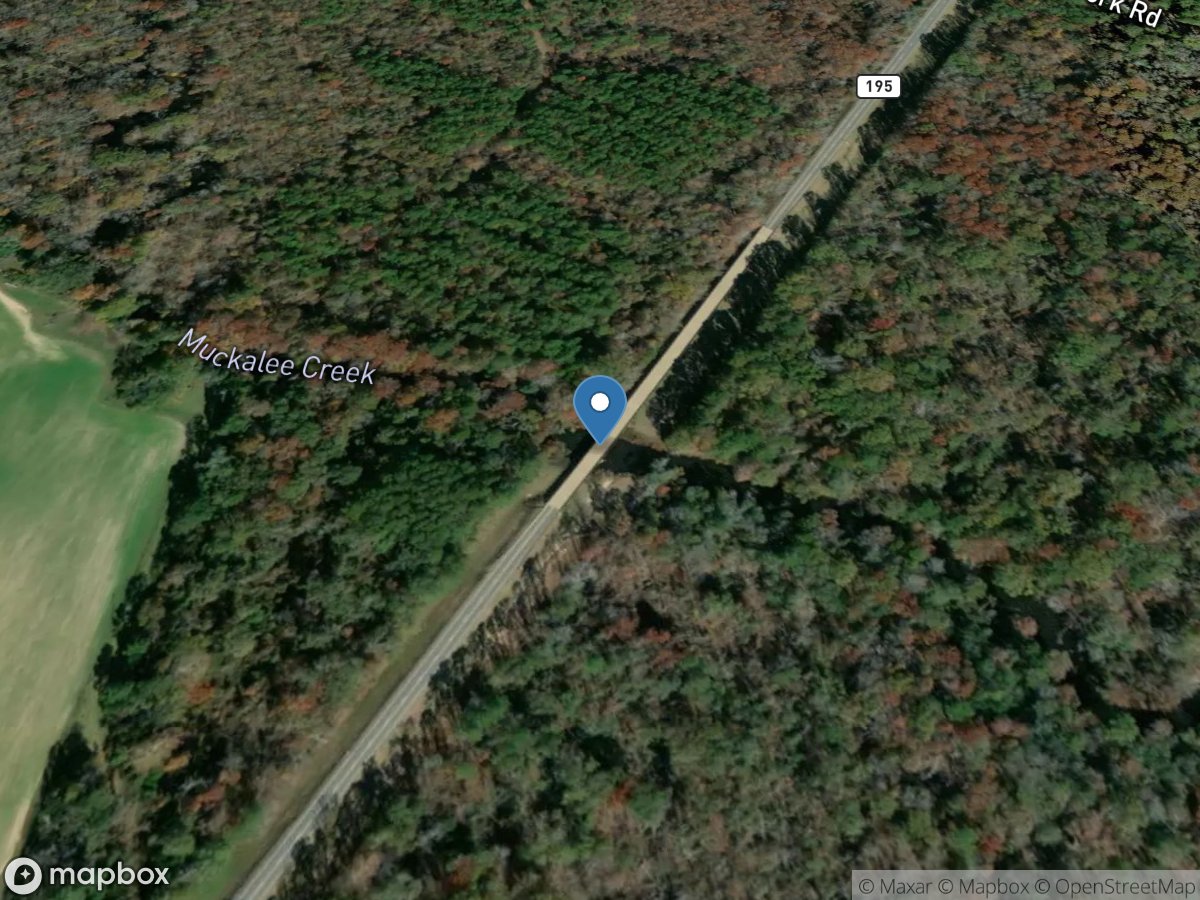 Muckalee Creek at GA 195, near Leesburg, GA location