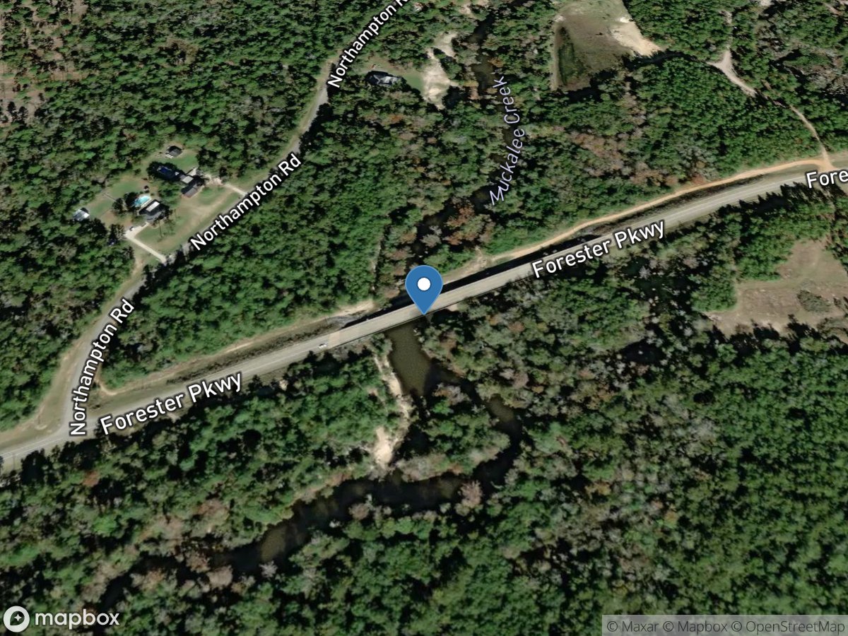 Muckalee Creek at Forrester Parkway near Leesburg, GA location