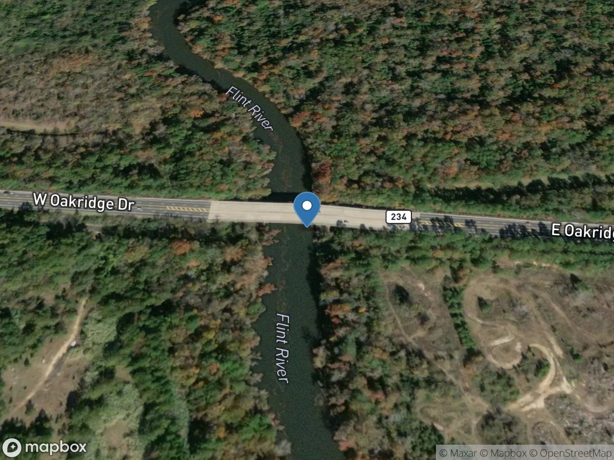 Flint River at GA 234, at Albany, GA location