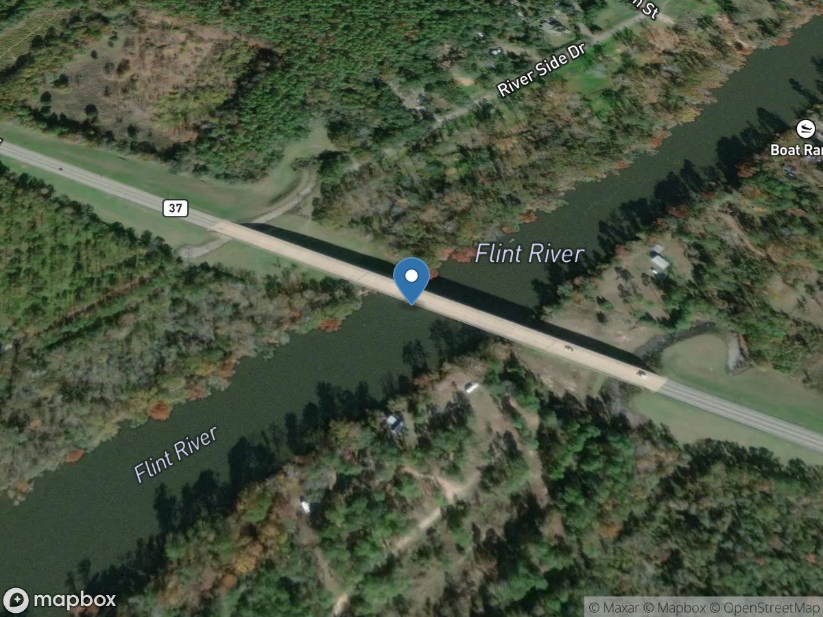 Flint River at Newton, GA location