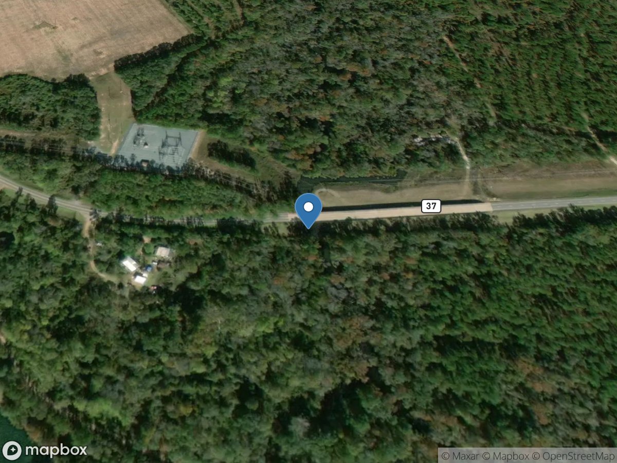 Ichawaynochaway Creek at GA 37, near Morgan, GA location