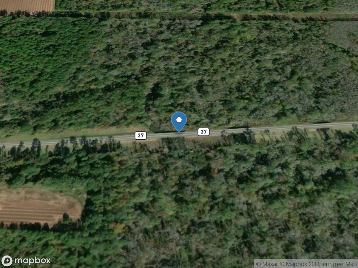 Pachitla Creek near Edison, GA location