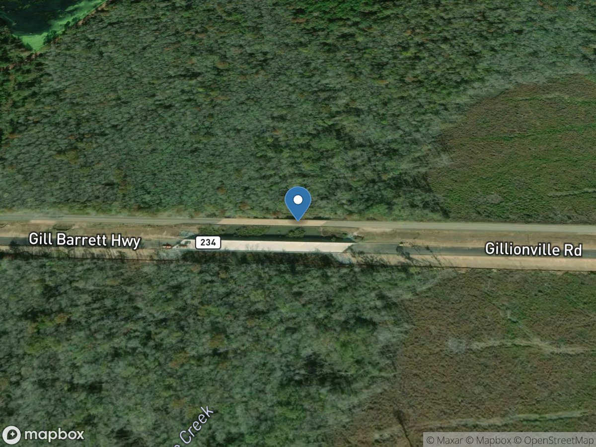 Chickasawhatchee Creek near Albany, GA location