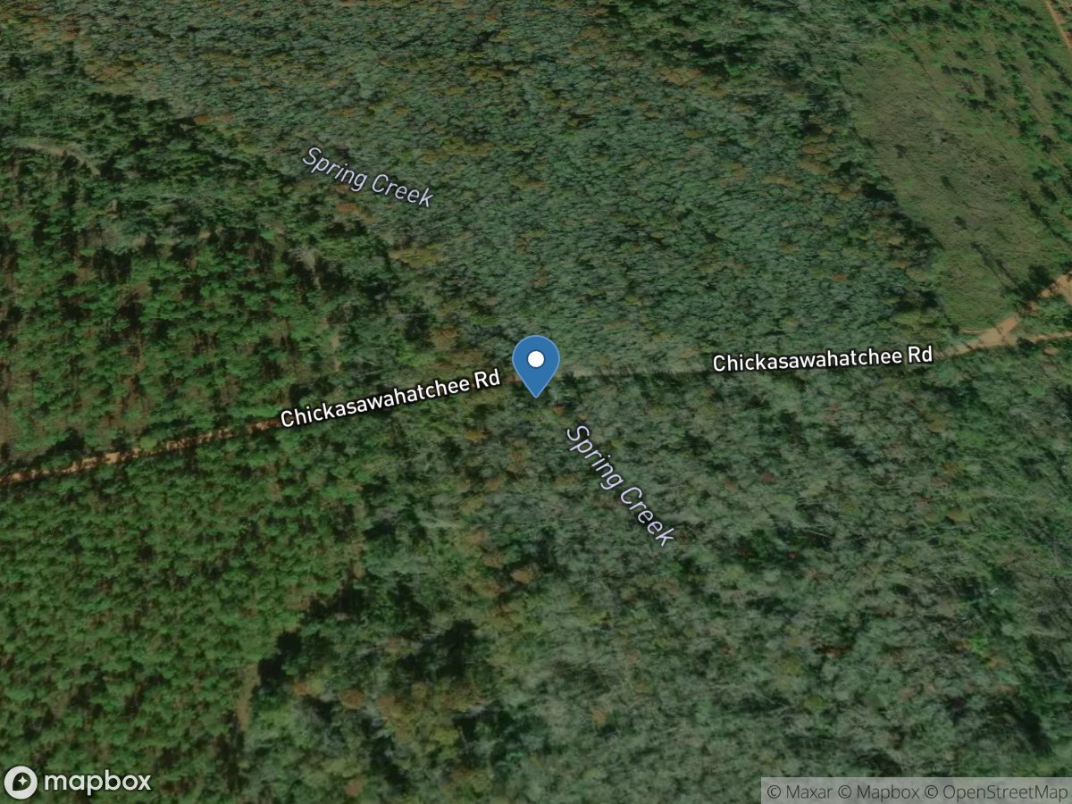 Spring Creek near Leary, GA location