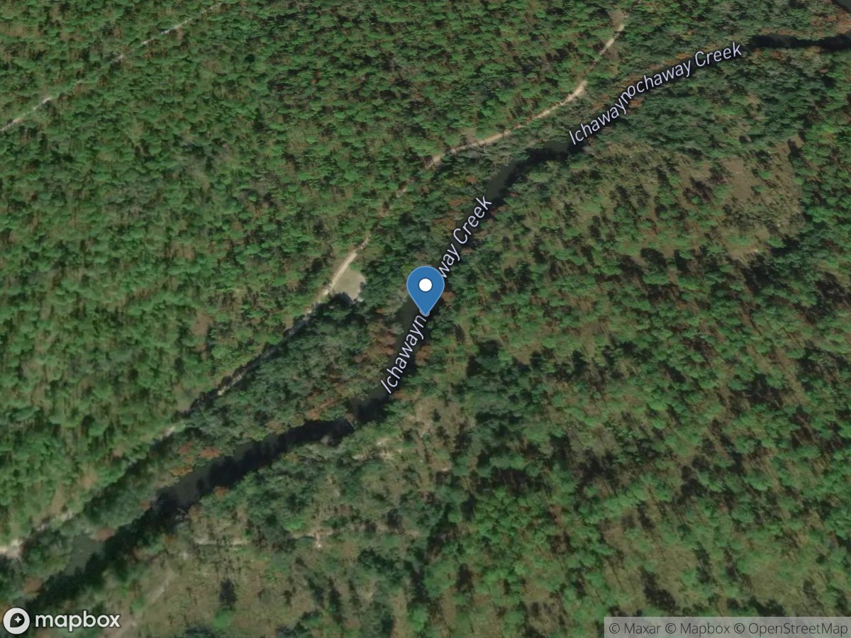 Ichawaynochaway Creek near Elmodel, GA location