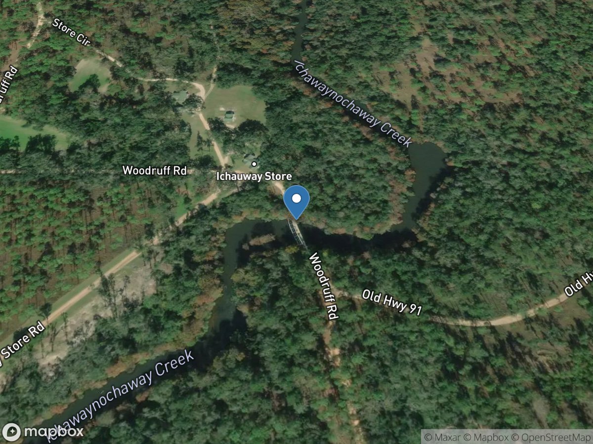 Ichawaynochaway Creek below Newton, GA location