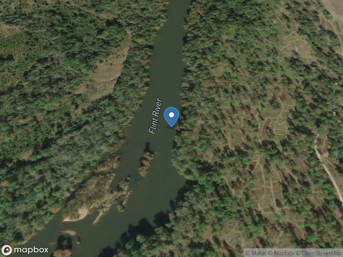 Flint River at Riverview Plantation, near Hopeful,GA location