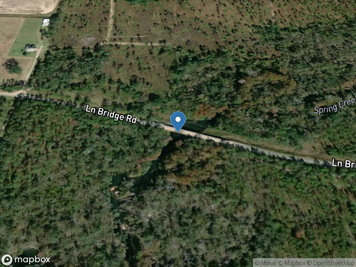 Spring Creek near Iron City, GA location