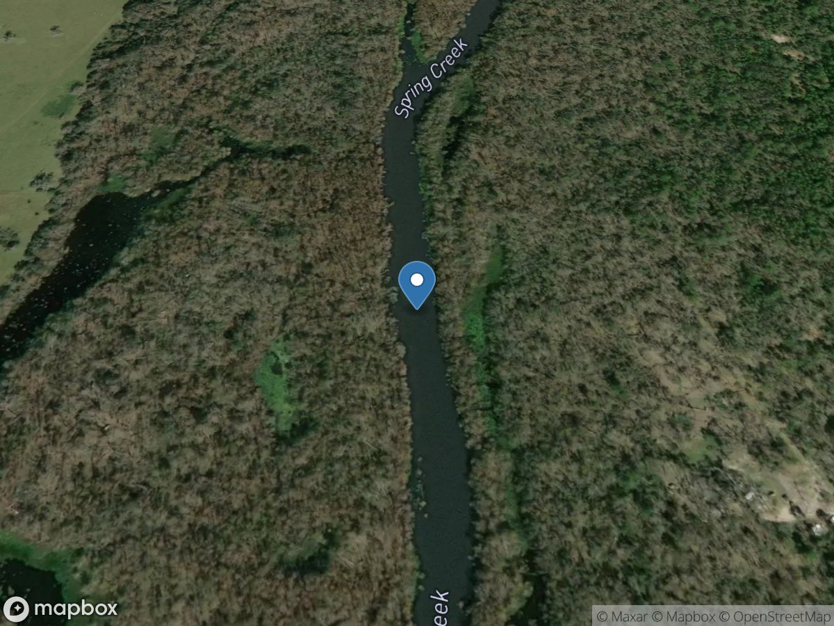 Spring Creek near Reynoldsville, GA location