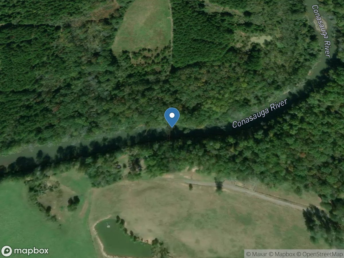 Conasauga River at Sloan Bridge, below Dalton, GA location