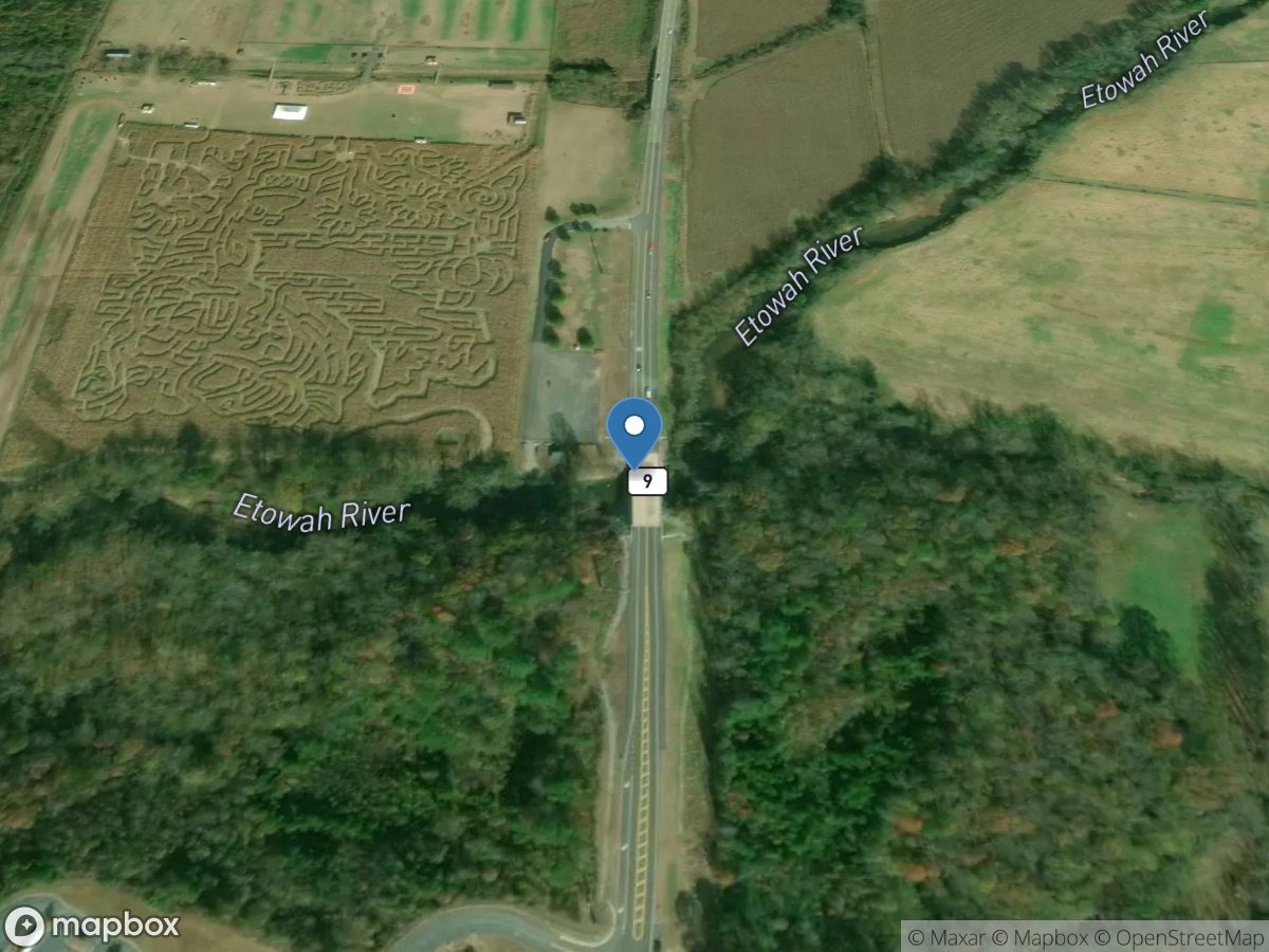 Etowah River at GA 9, near Dawsonville, GA location