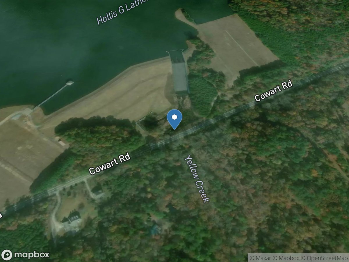 Yellow Creek at Cowart Road, near Matt, GA location