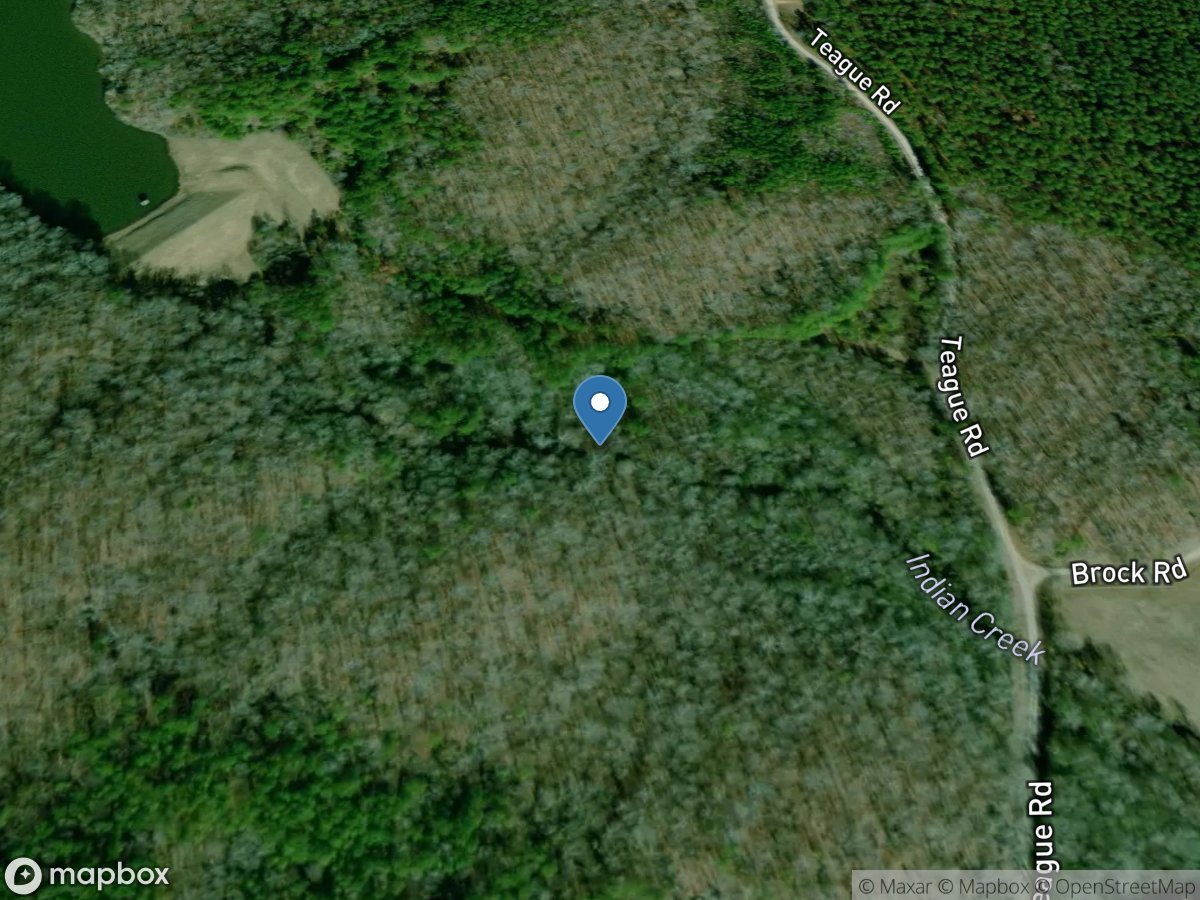 Indian Creek Upstream of Teague RD, near Bowdon, GA location