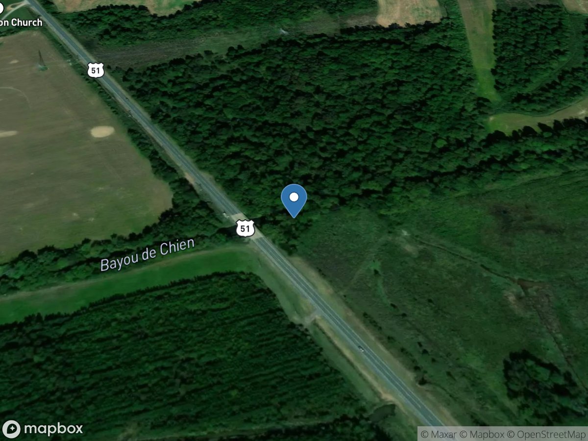 Bayou DE Chien near Clinton, KY location