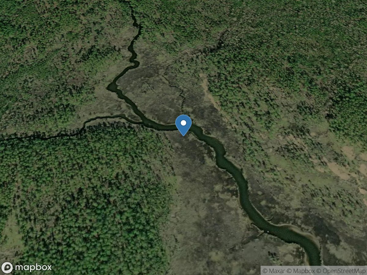 Bayou Heron above Bayou Heron Road near Pecan, MS location