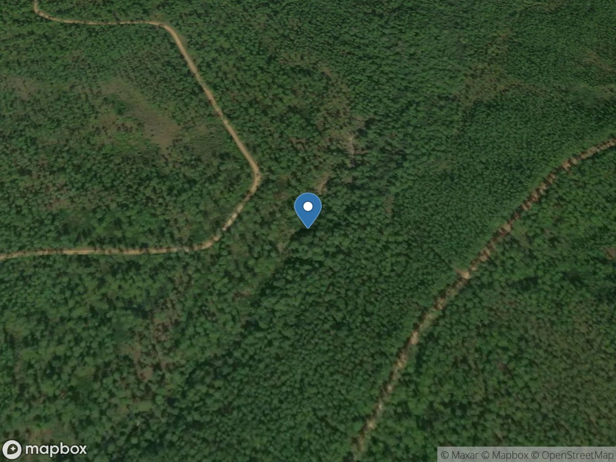 Tchoutacabouffa River Tributary near White Plains, MS location