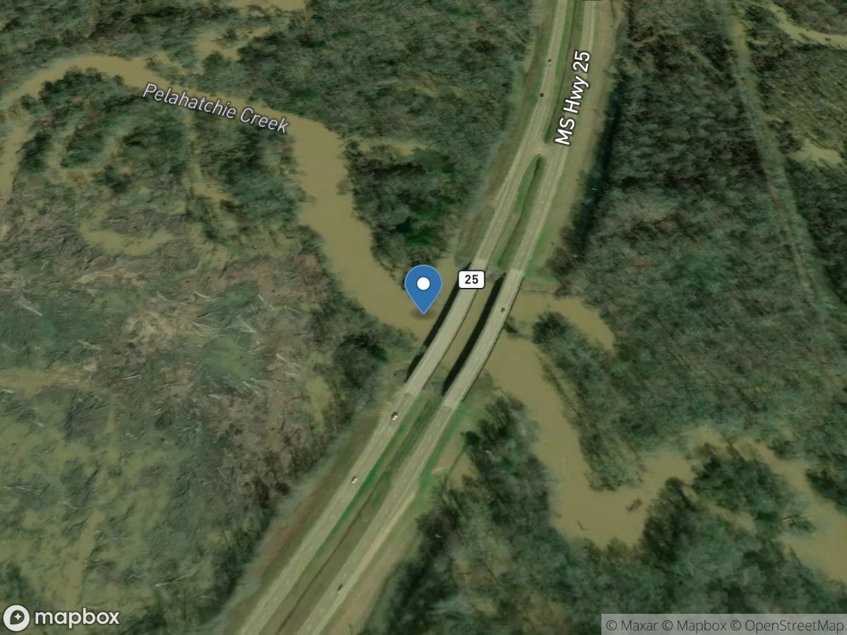 Pelahatchie Creek at State Highway 25 near Fannin, MS location