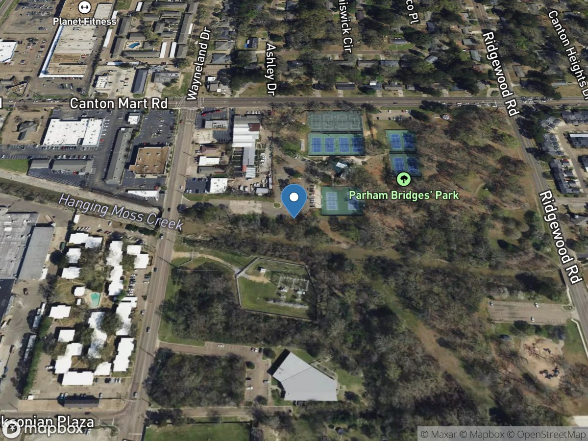 Hanging Moss Creek near Jackson, MS location