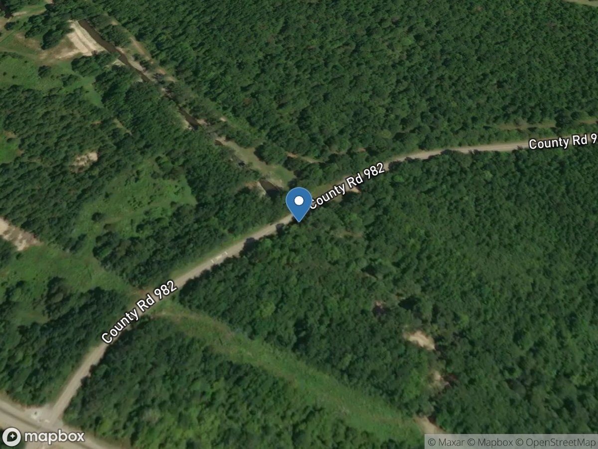 Little Yellow Creek East near Burnsville, MS location