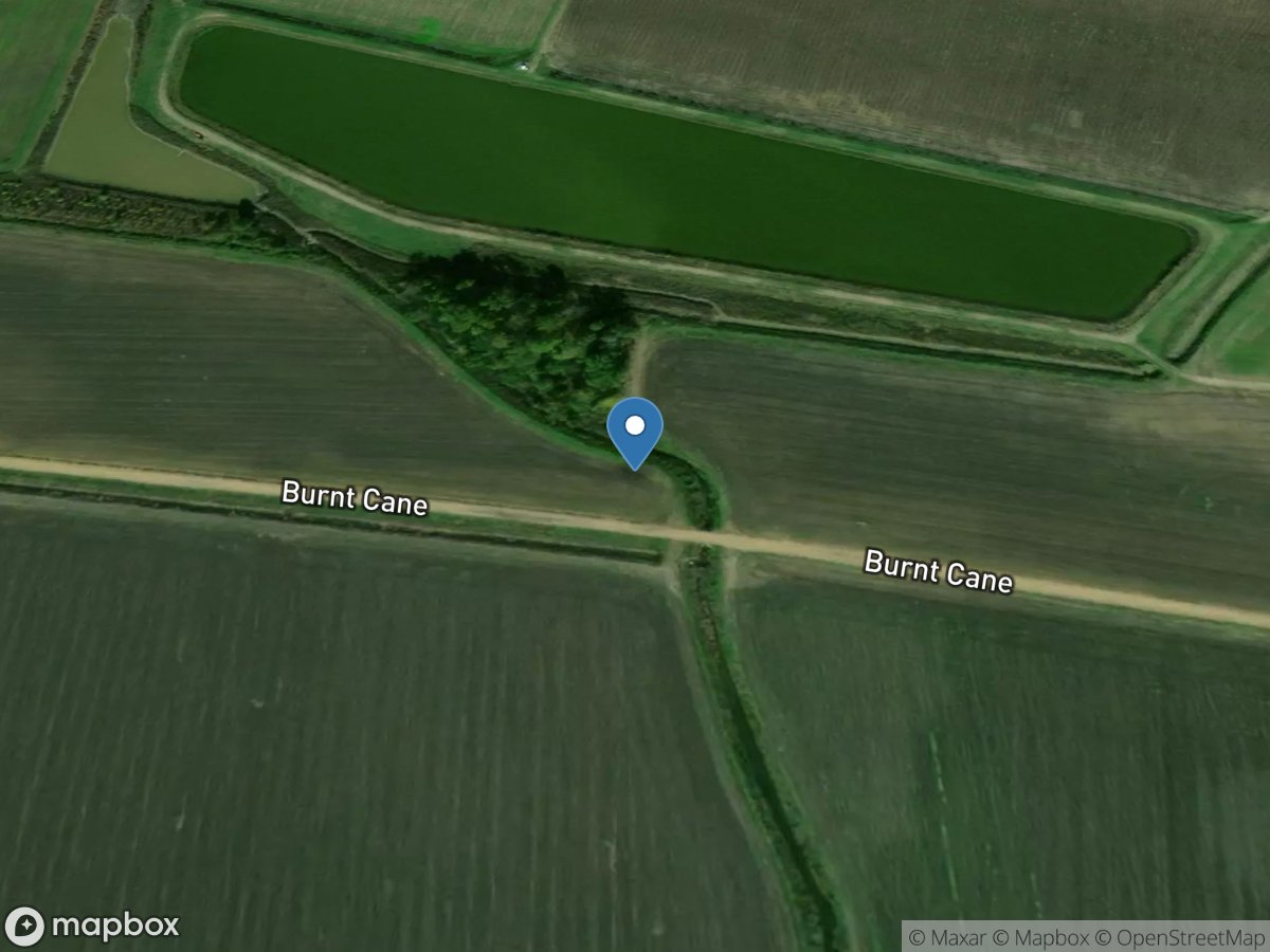 Overcup Slough Tributary NO 2 near Farrell, MS location