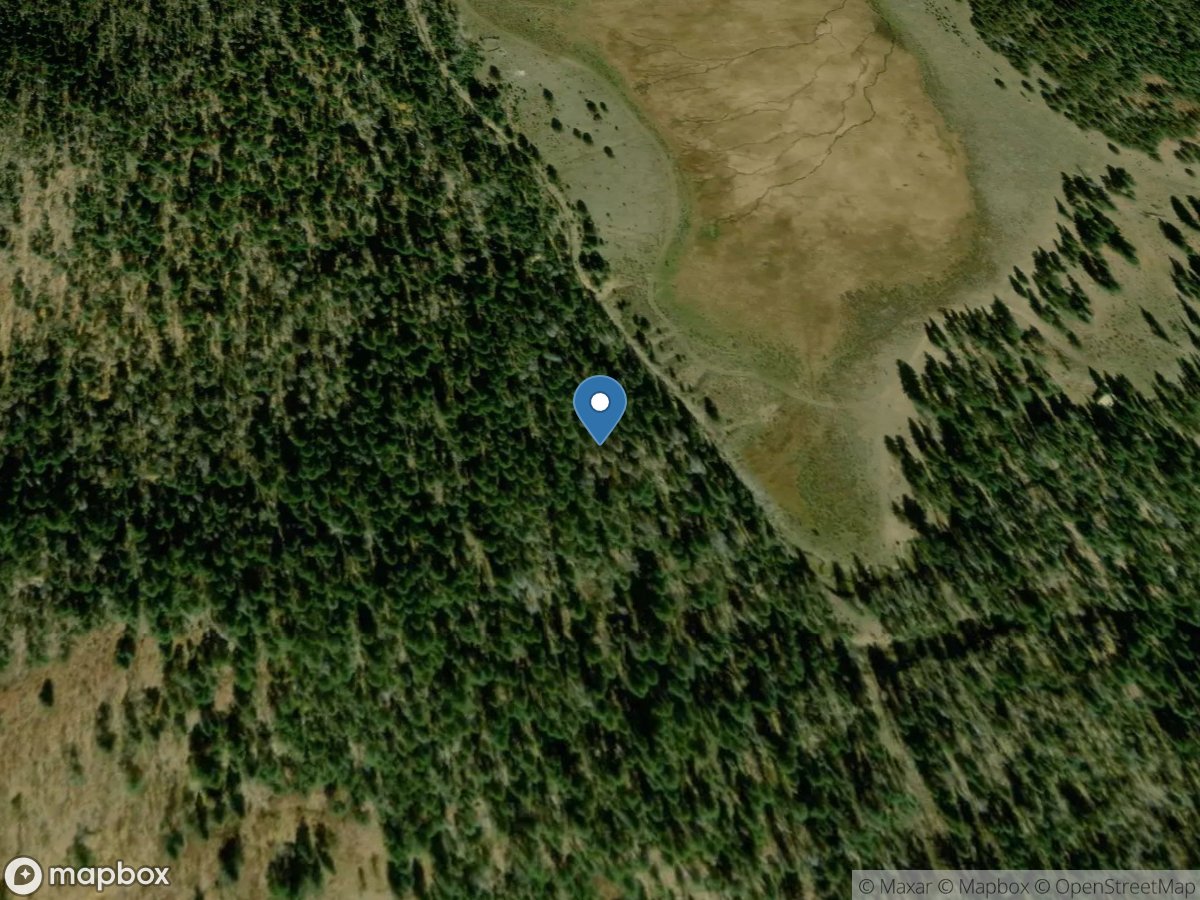 Canoncito Ditch near Holman, NM location