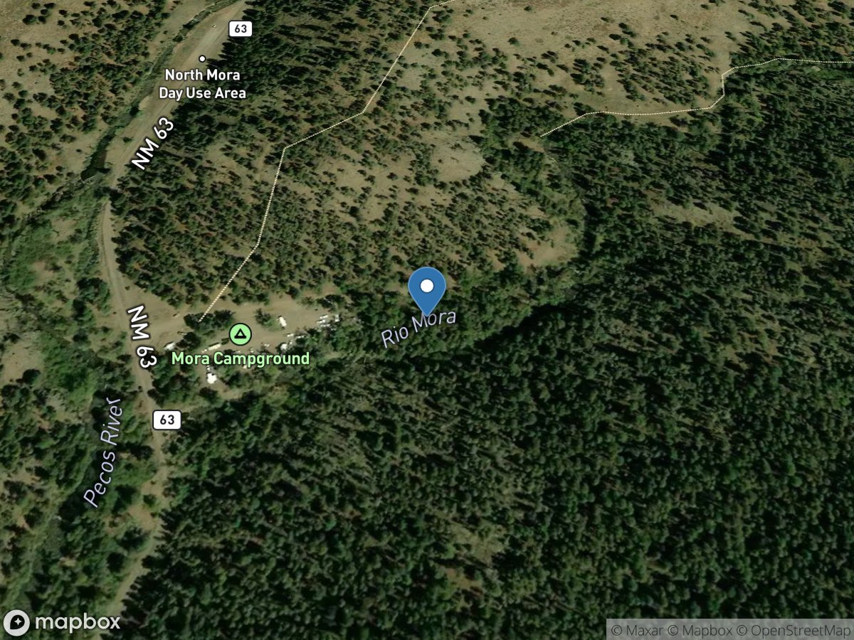 Rio Mora near Terrero, NM location