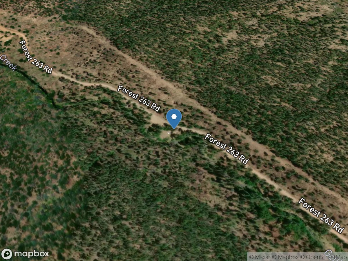 Gallinas Creek at Oak Flat near Gallinas, NM location