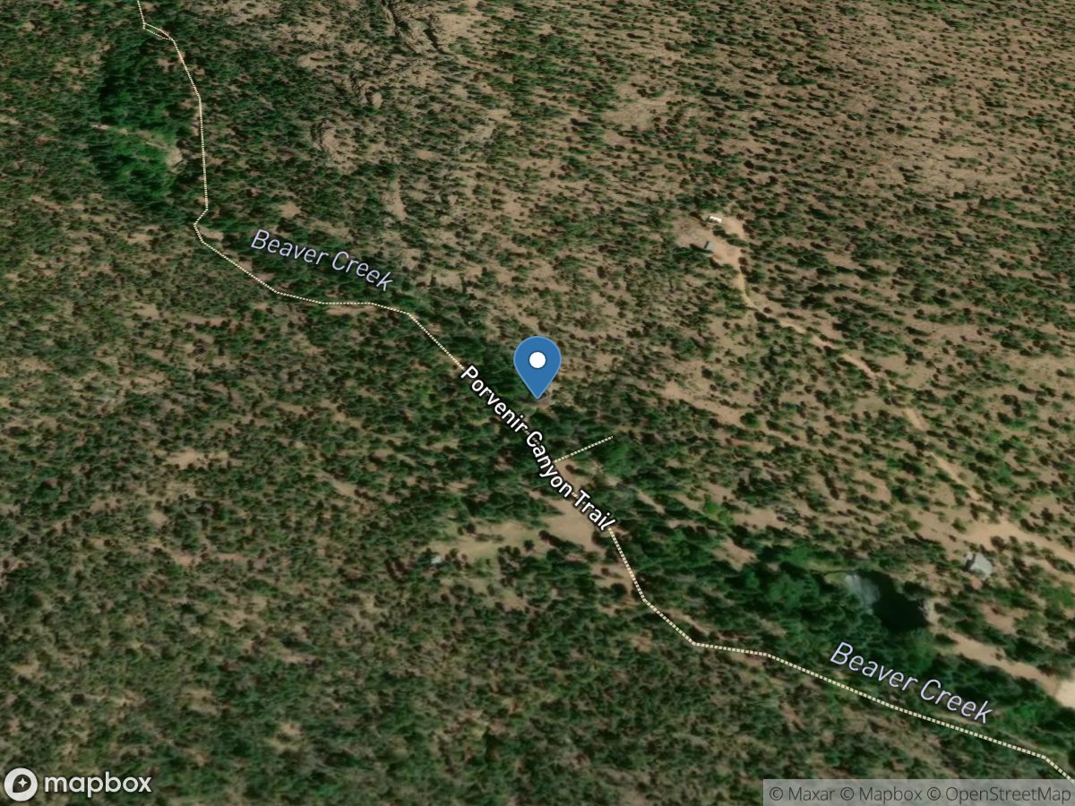 Beaver Creek near El Porvenir, NM location