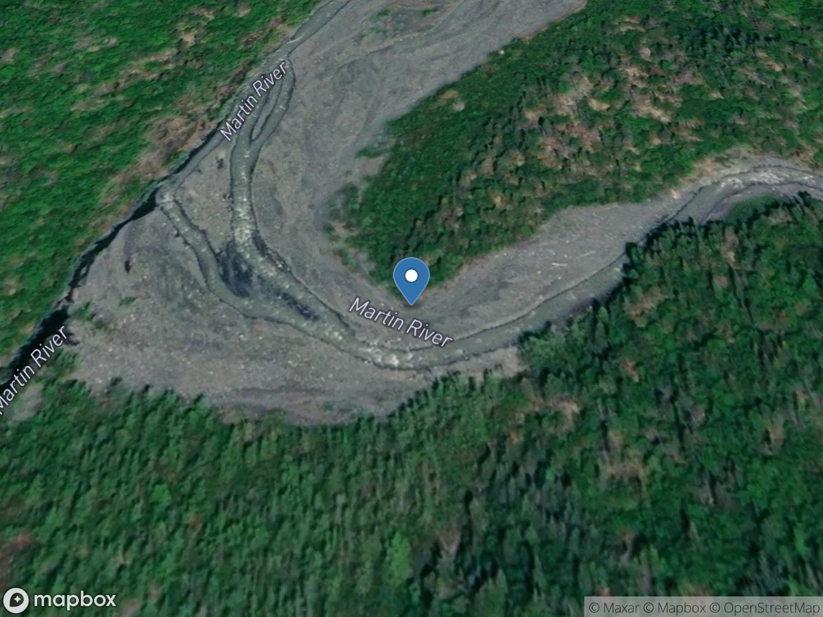 East Fork Martin River at Mouth near Homer AK location