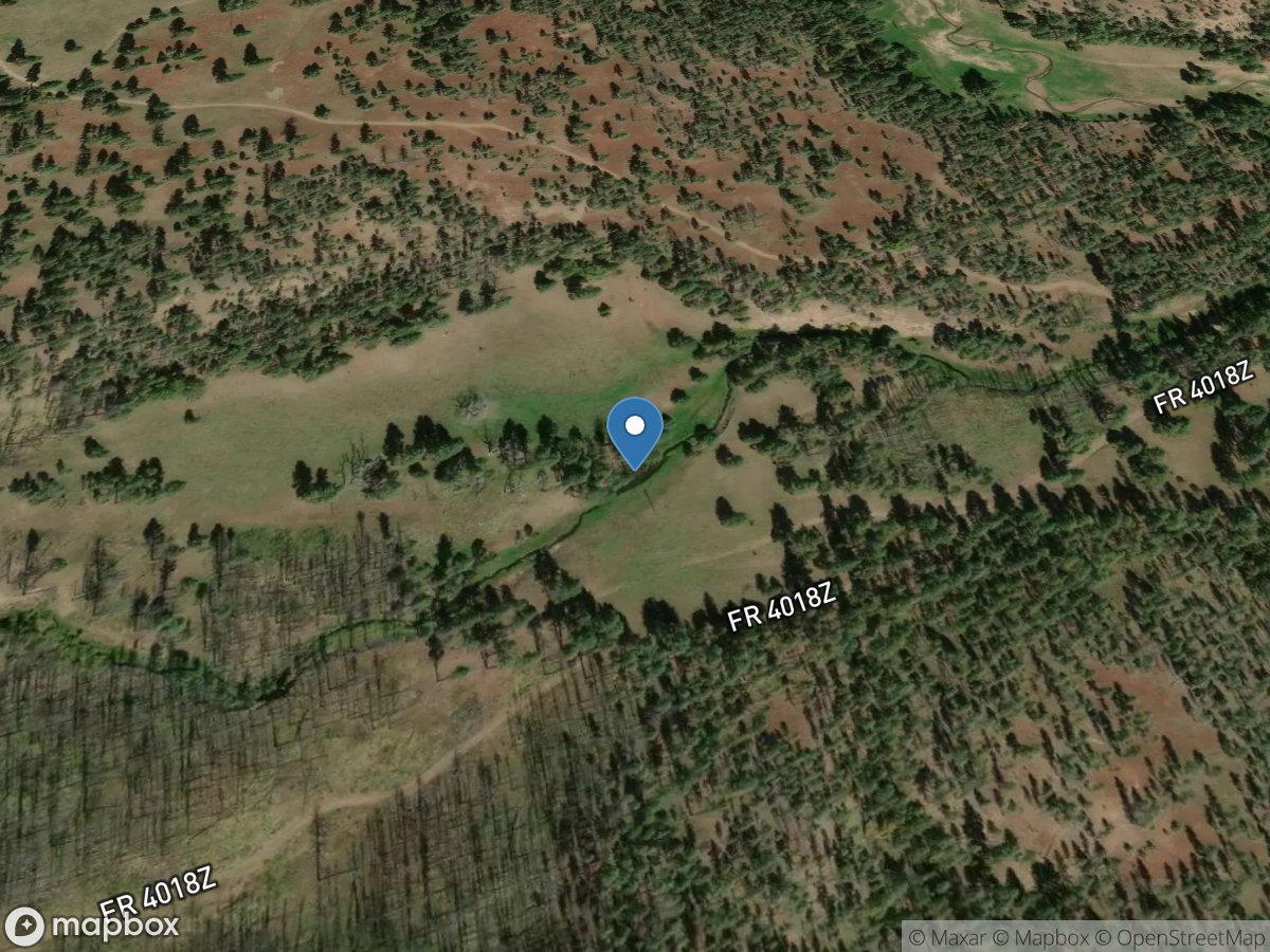 San Francisco River above Stone Creek near Luna, NM location
