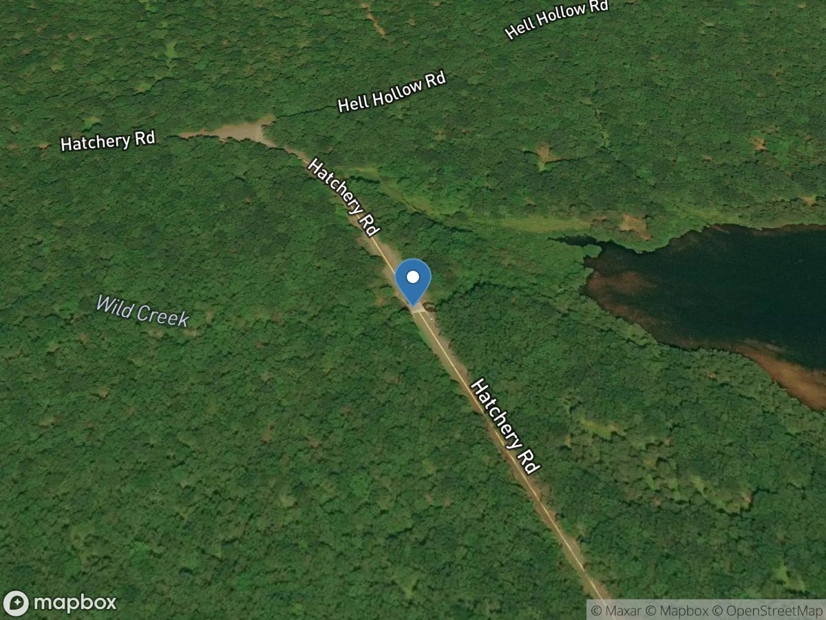 Wild Creek ab Penn Forest Reservoir near Kresgeville PA location