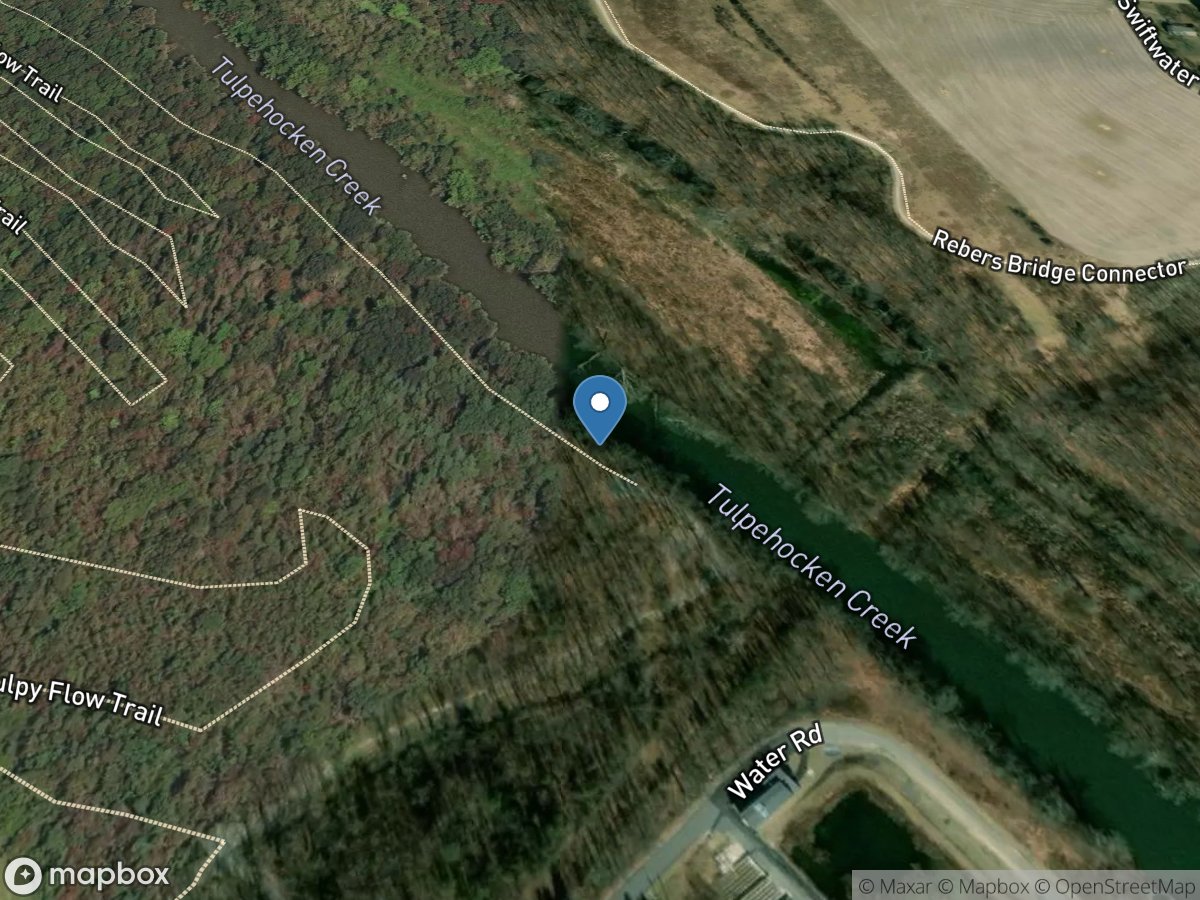 Tulpehocken Creek at Blue Marsh Damsite near Reading location