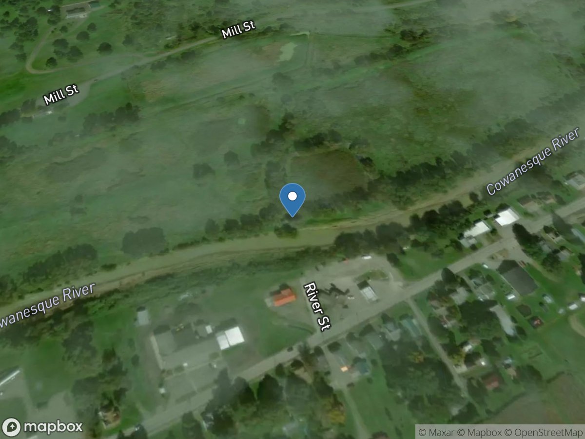 Cowanesque River at Westfield, PA location