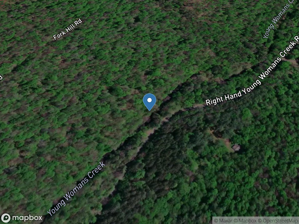 Young Womans Creek near Renovo, PA location