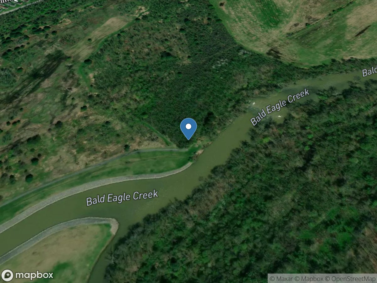 Bald Eagle Creek at Blanchard, PA location