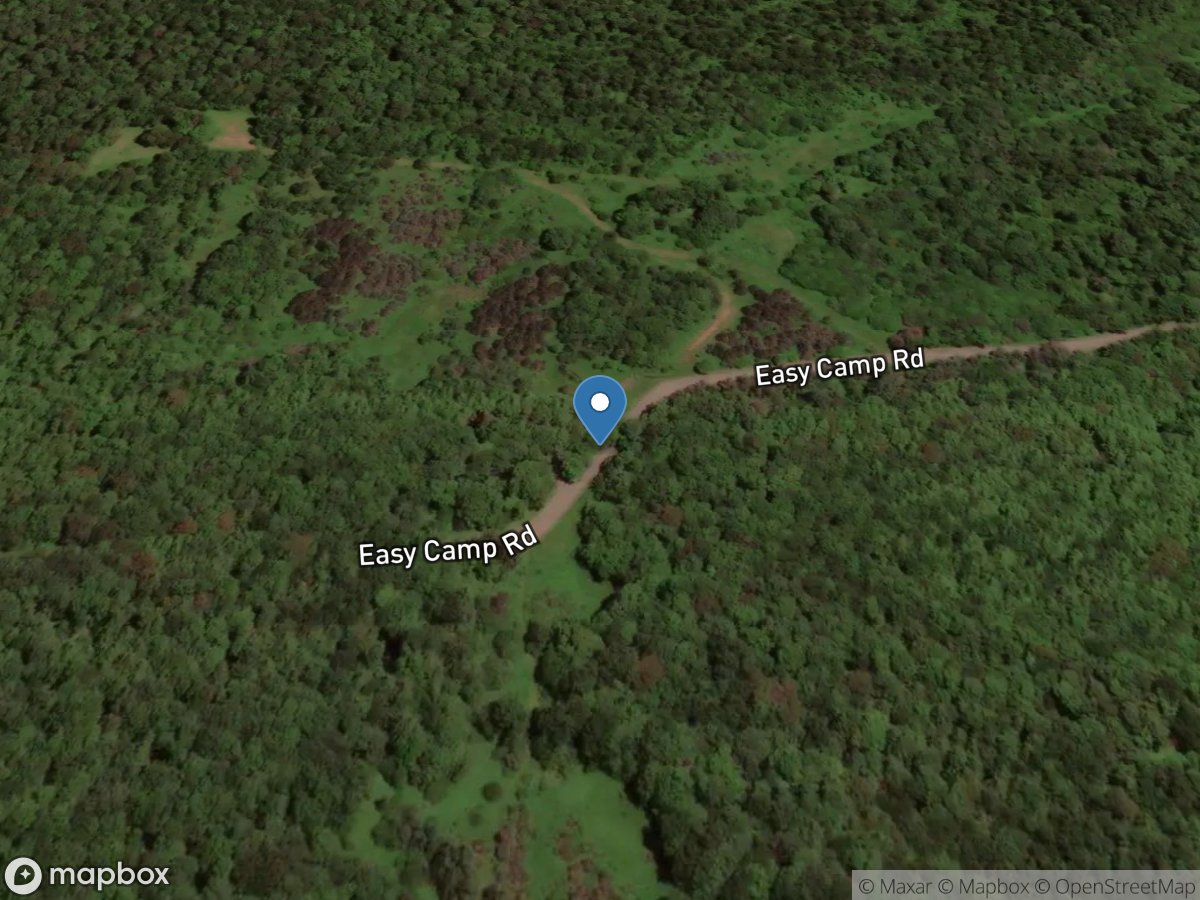 Piney Run at Easy Camp Road near Cairnbrook, PA location