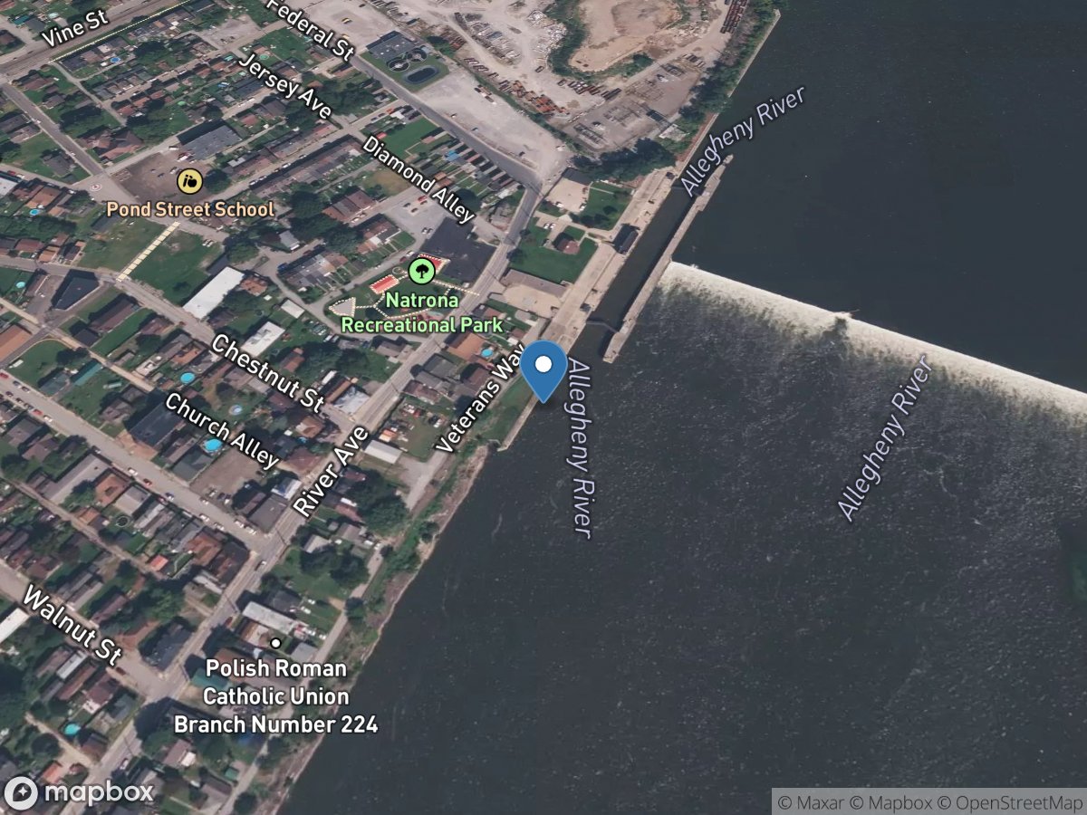 Allegheny River (lower pool) at Natrona, PA location