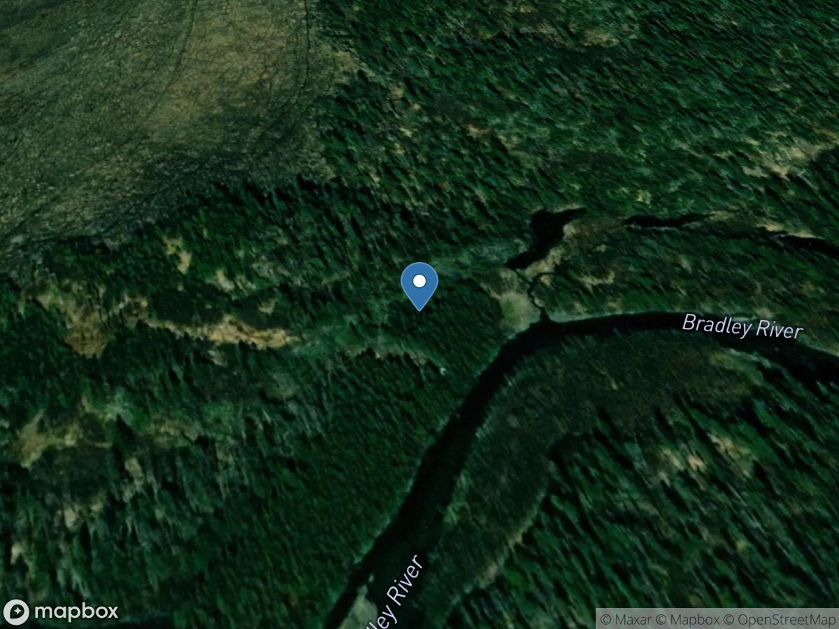 Bradley River near Tidewater near Homer AK location