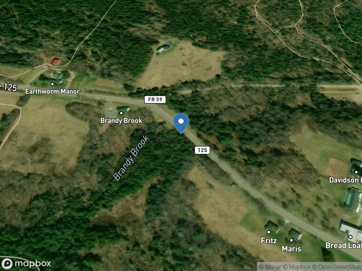 Brandy Brook at Bread Loaf, VT location