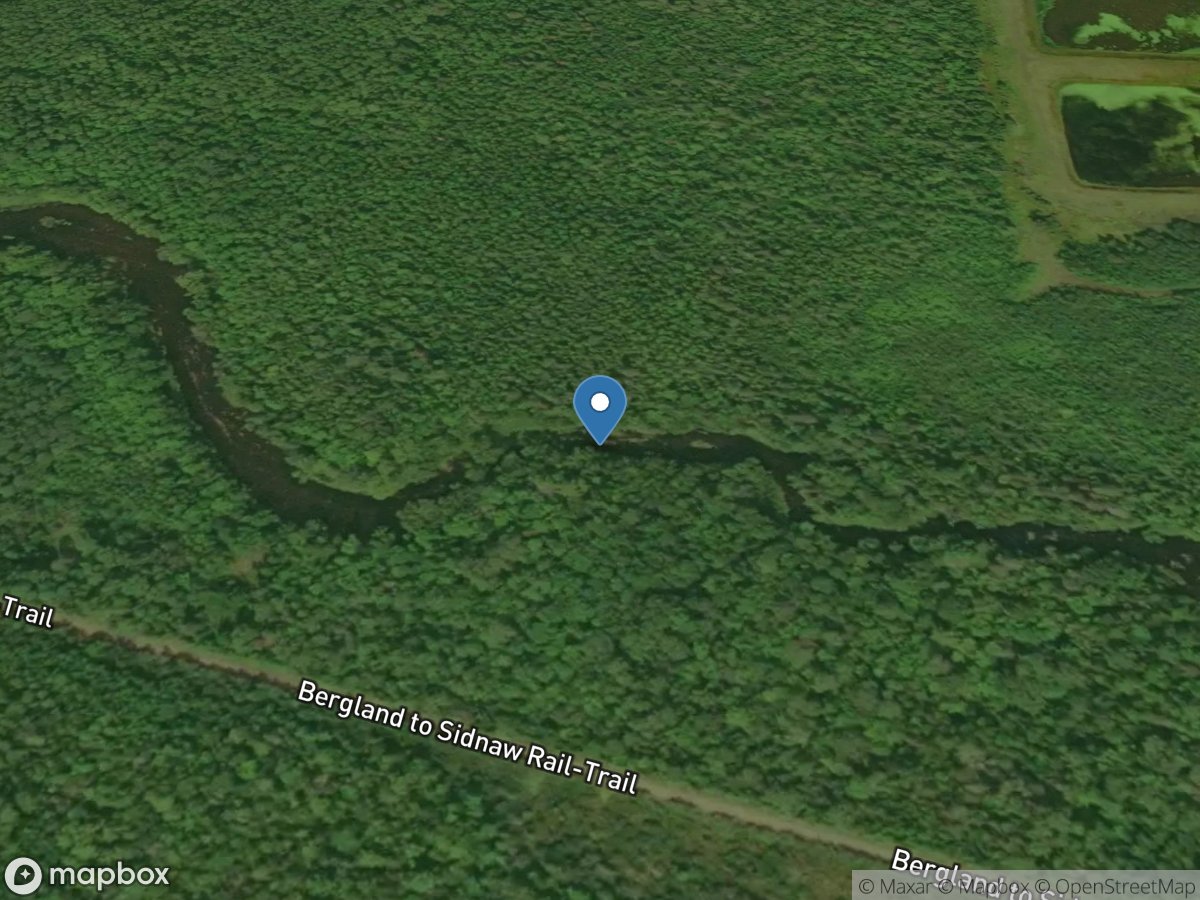 West Branch Ontonagon River near Bergland, MI location