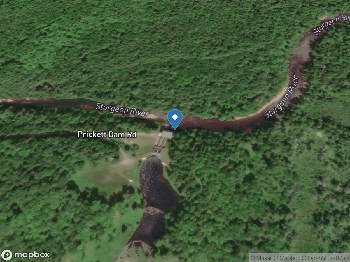 Sturgeon River near Alston, MI location